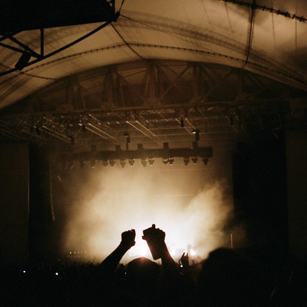 silhouette photography of group of people on concert